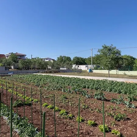 - Delic - Makarska Exklusiv